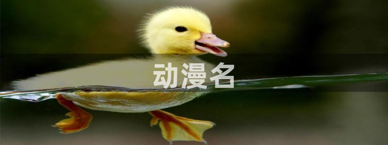 omofun去广告版：动漫名