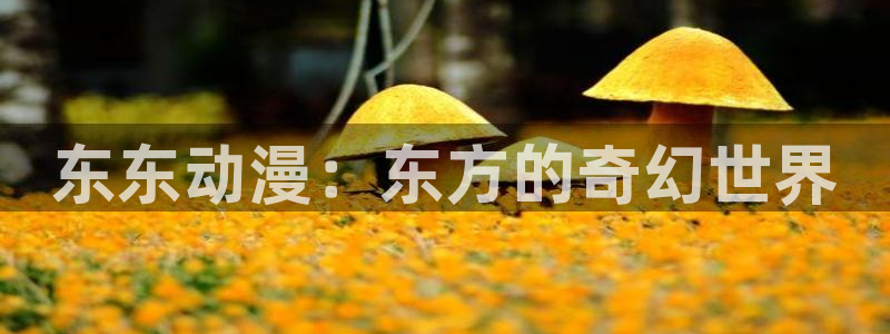 omofun,：东东动漫：东方的奇幻世界