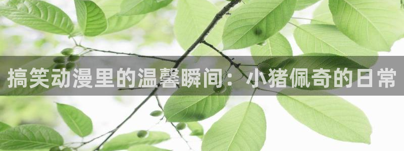 omofun 网站：搞笑动漫里的温馨瞬间：小猪佩奇的日常