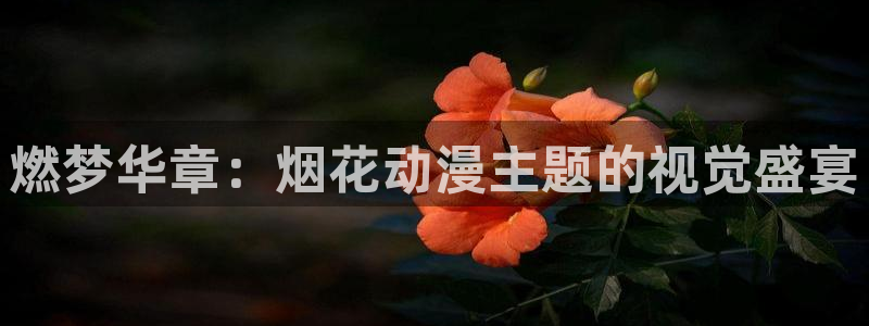 omofun宕卧：燃梦华章：烟花动漫主题的视觉盛宴