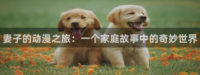omofun缓存：妻子的动漫之旅：一个家庭故事中的奇妙世界