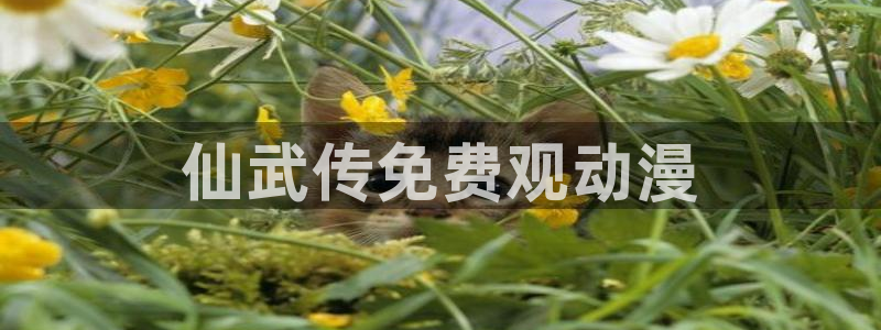 https://omofun：仙武传免费观动漫